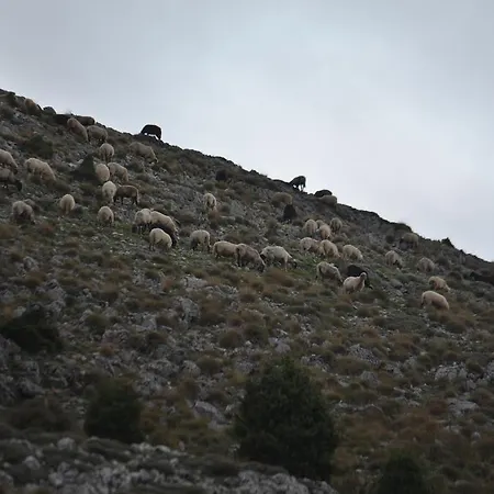 Abelos Agios Ioannis (Arcadia)
