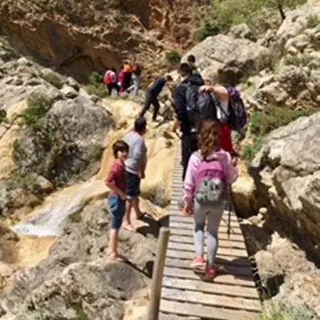 Abelos