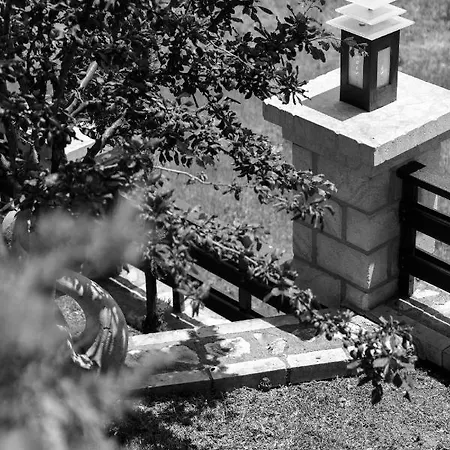 Abelos Casa de hóspedes